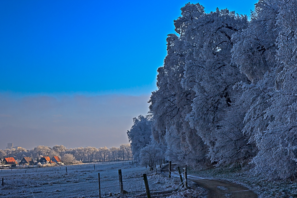 Winter in Halberstadt