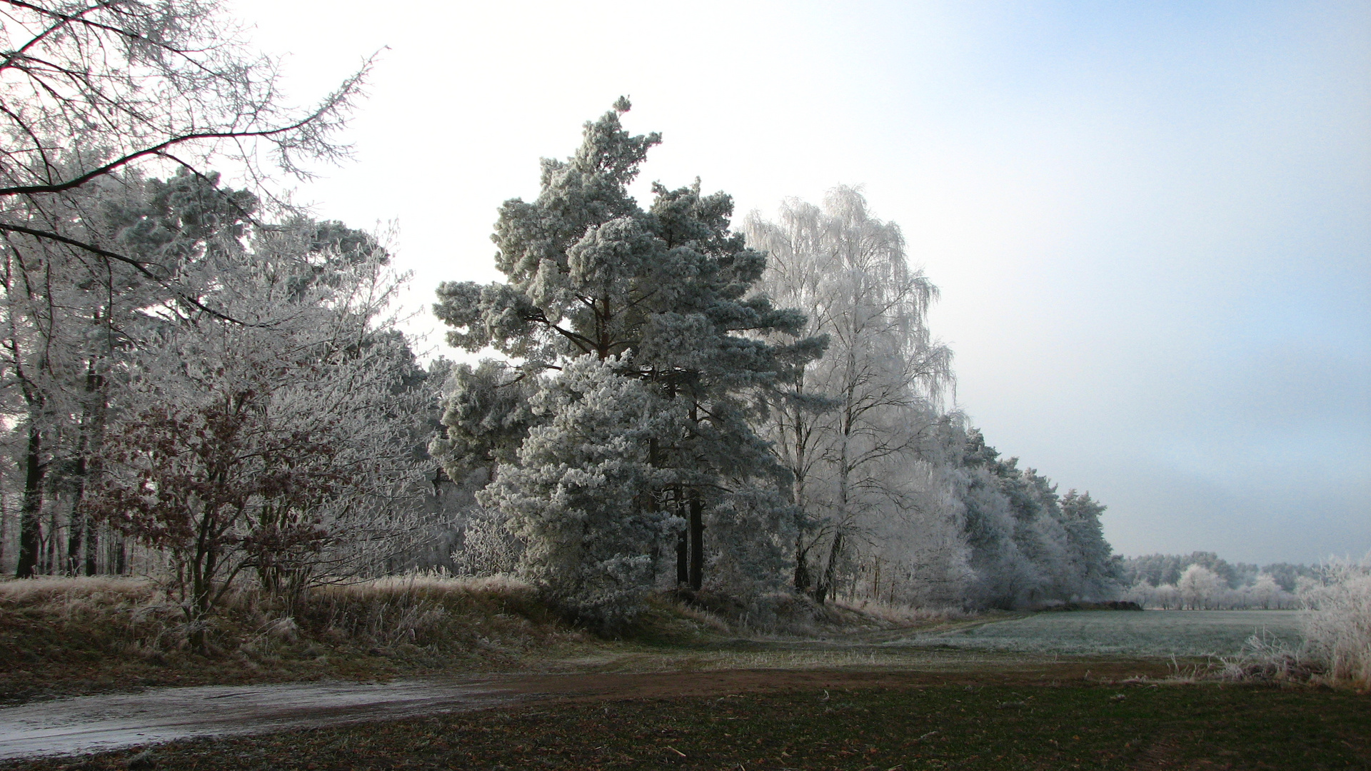 Winter in Hambühren