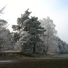 Winter in Hambühren