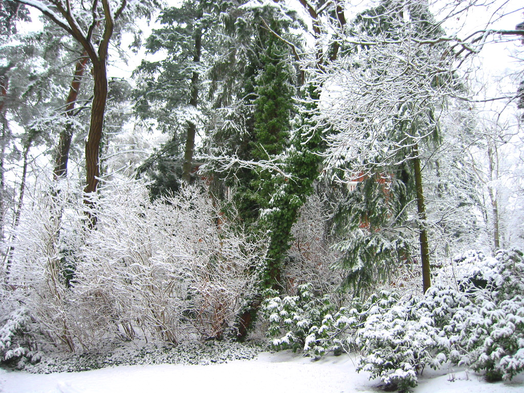 Winter in Hamburg