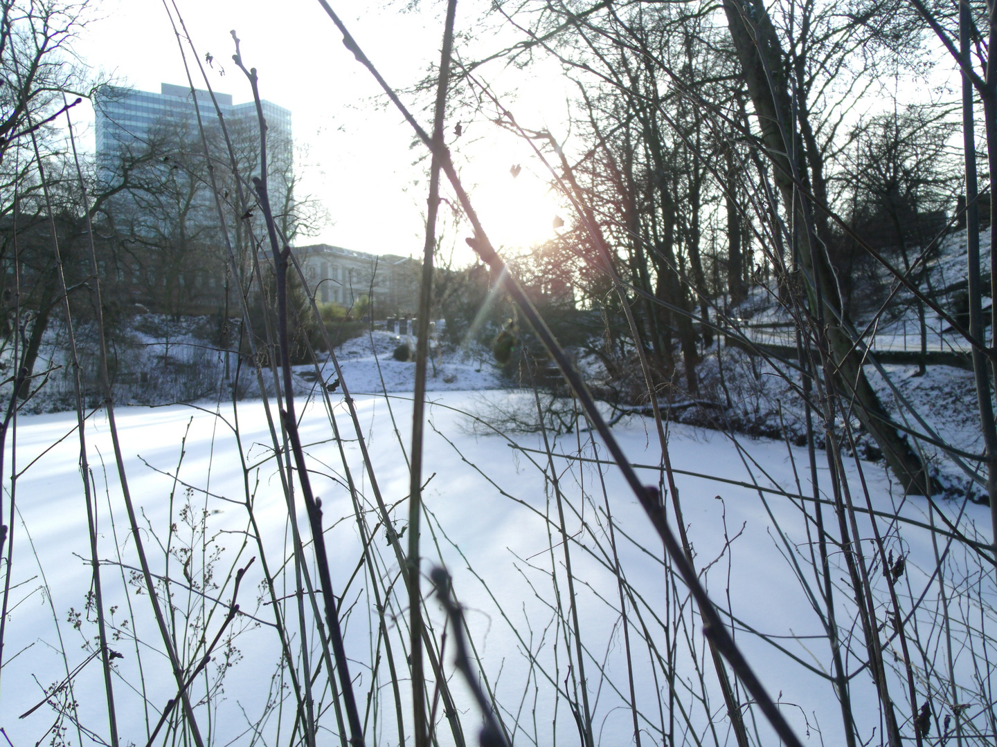 Winter in Hamburg