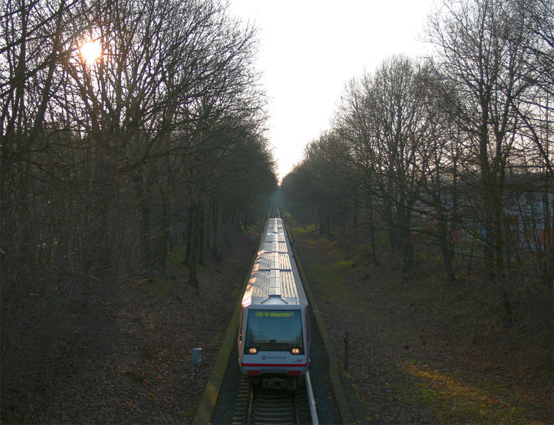 Winter in Hamburg