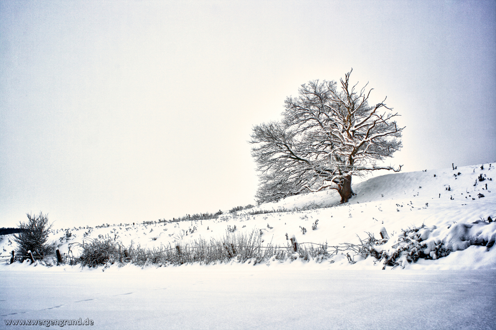 Winter in Hameln