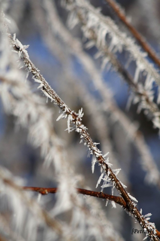 Winter in Hannover