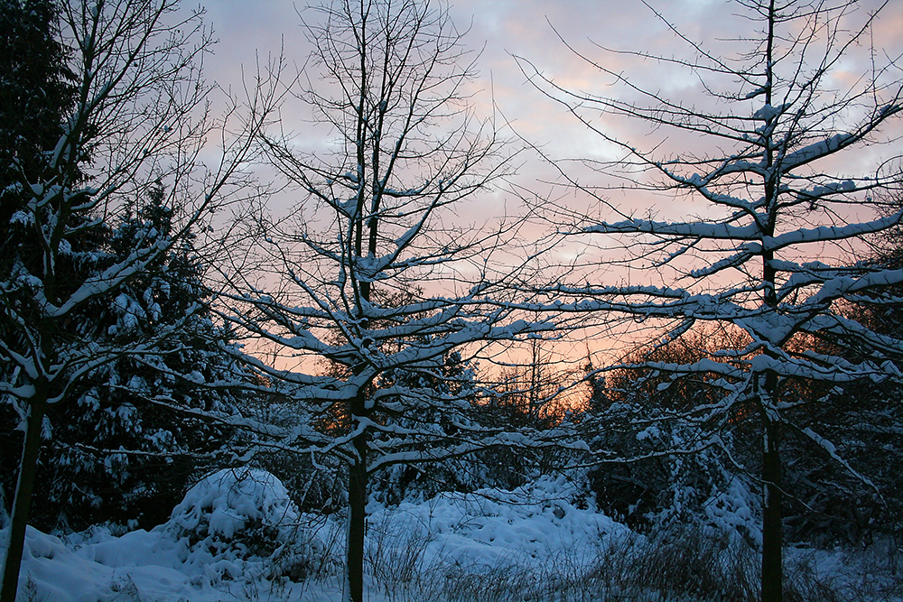 Winter in Hannover mit Sonnenuntergang