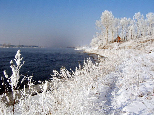 Winter in Harbin
