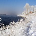 Winter in Harbin