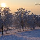 Winter in Hauswalde*