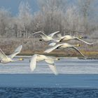 Winter in Heiligenhafen