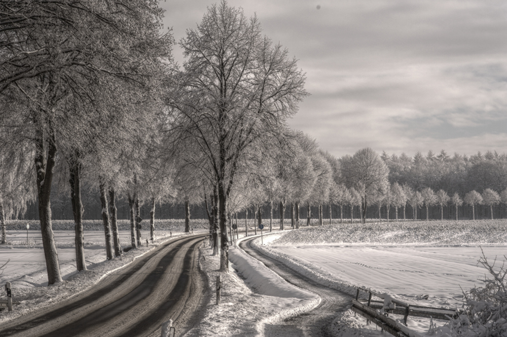 Winter in Hembergen 4