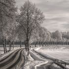 Winter in Hembergen 4