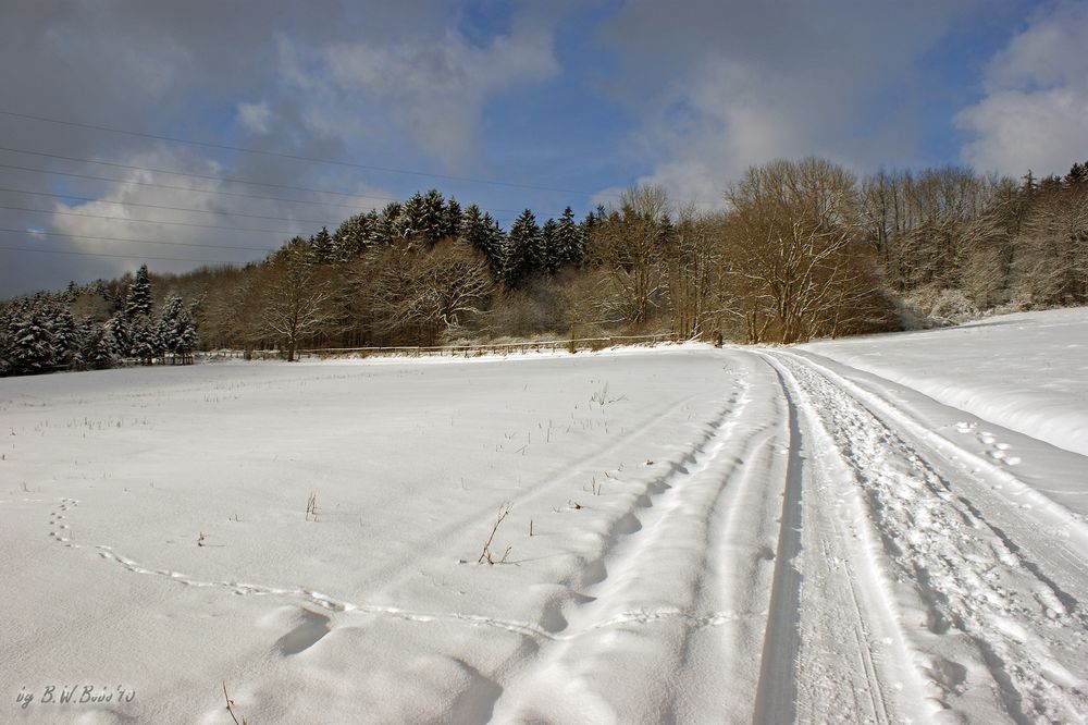 Winter in Hemer 2010 (5)