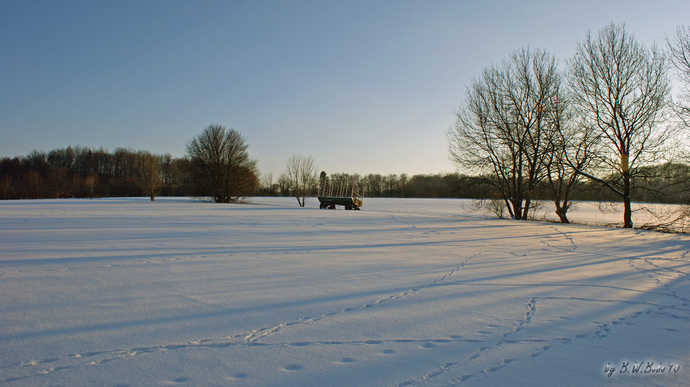 Winter in Hemer 2010 (7)