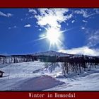 Winter in Hemsedal - Norway