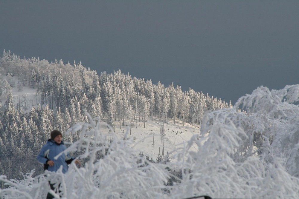 Winter in Hessen (Feldberg)