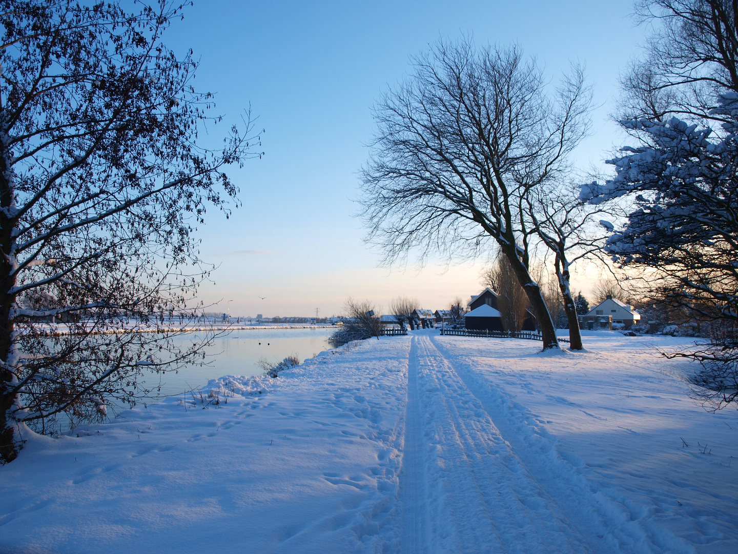 Winter in Hillegom