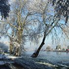 winter in Hillegom, Niederlande