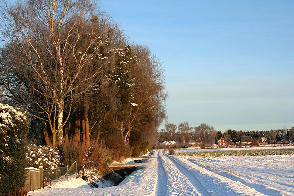 Winter in Himbergen