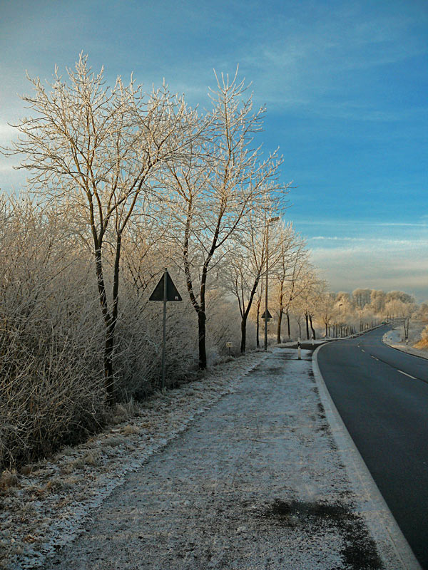 Winter in Höchen