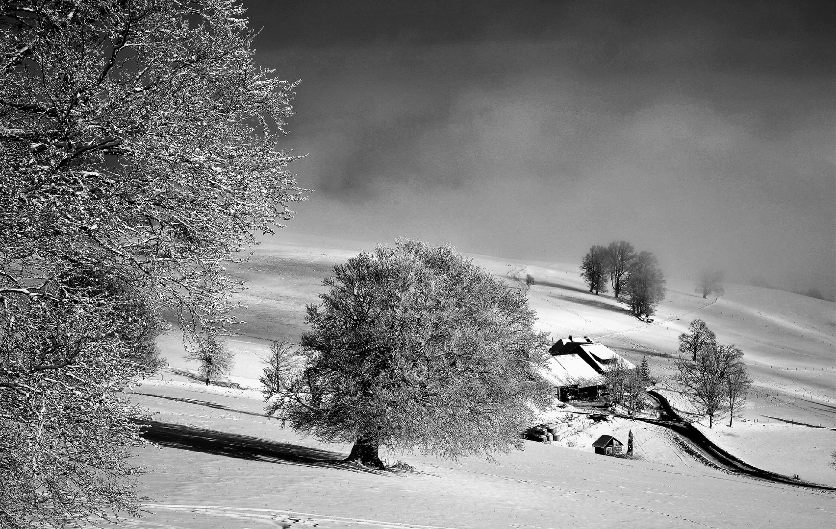 winter in hofsgrund