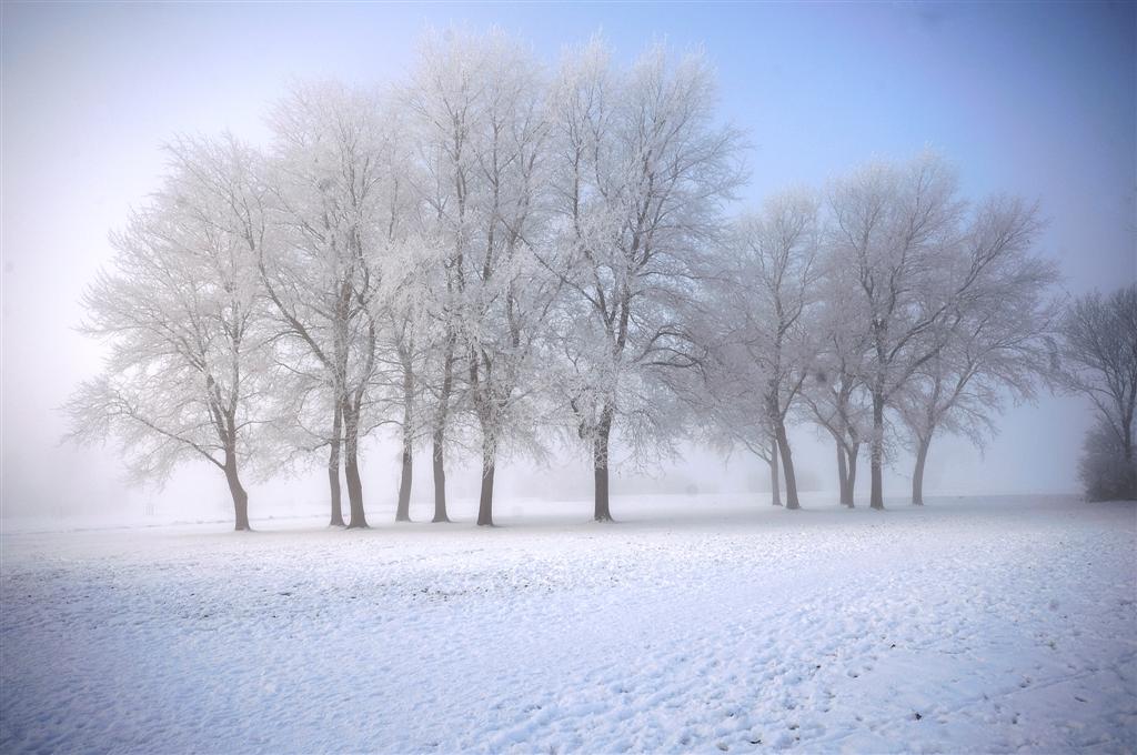 Winter in Holland