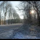 Winter in Holland 2