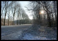 Winter in Holland 2