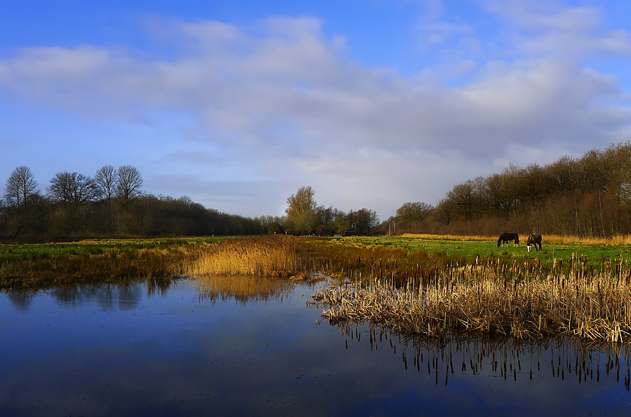 Winter in Holland 2012