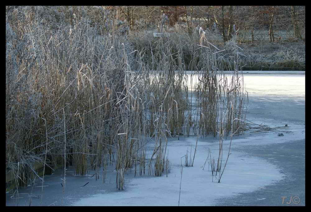 Winter in Holland