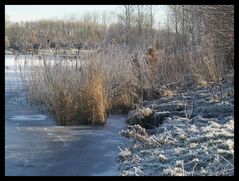 Winter in Holland 3