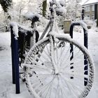 Winter in Holland 7