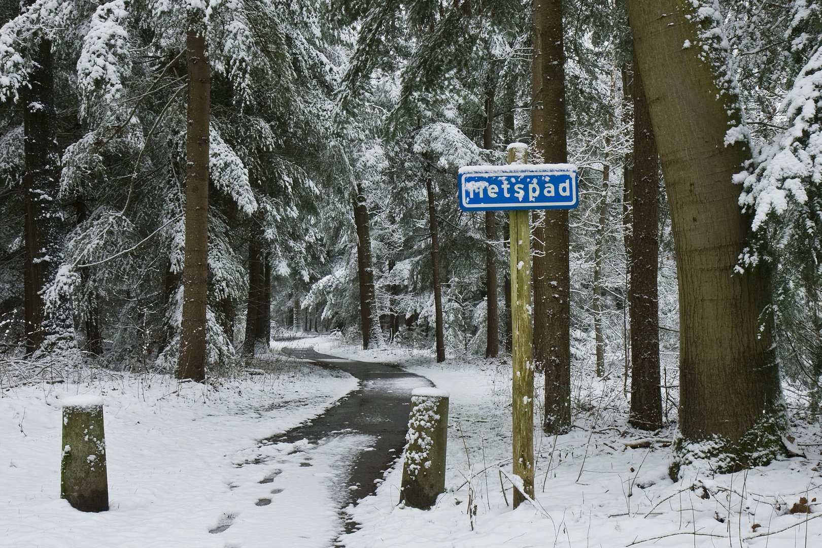 Winter in Holland