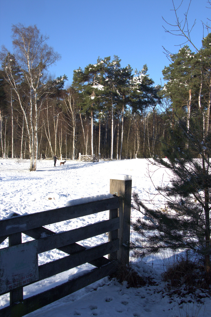 Winter in Holland