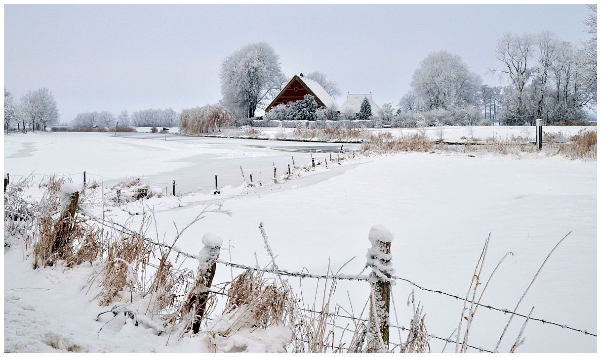 Winter in Holstein