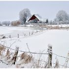 Winter in Holstein