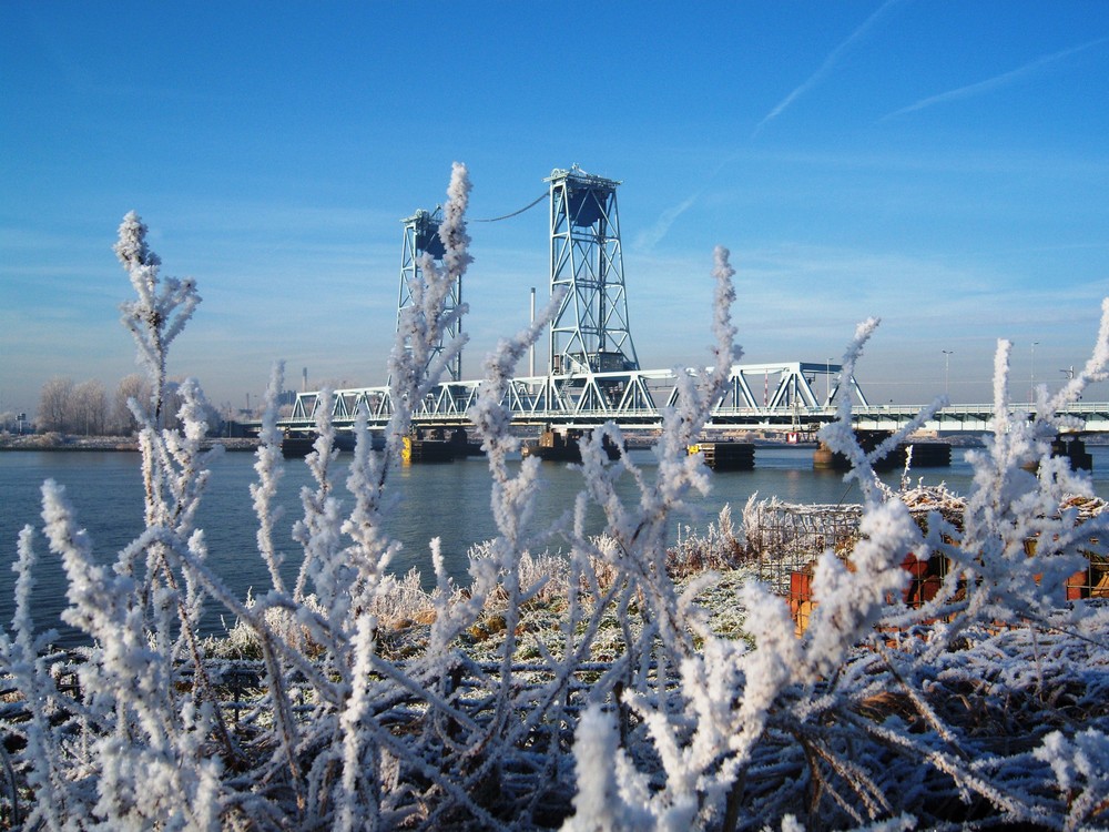 winter in hoogvliet