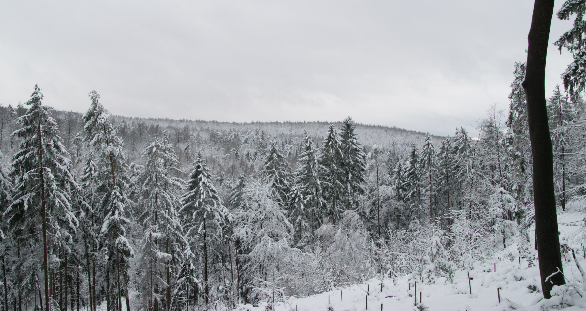 Winter in Horbach 