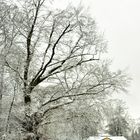 Winter in Ismaning 2