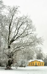 Winter in Ismaning 2