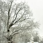 Winter in Ismaning 2