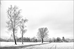 Winter in Ismaning 4