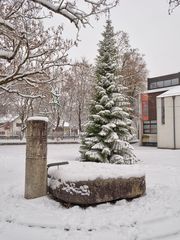 Winter in Ismaning