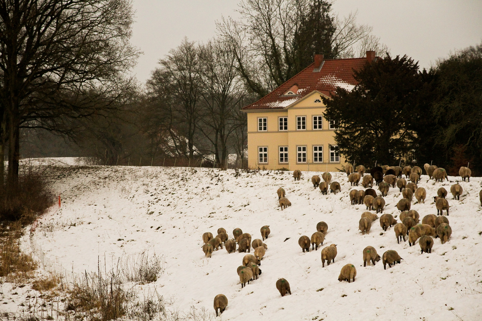 Winter in Jasebek