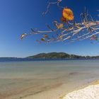 Winter in Joaquina (Florianopolis SC)