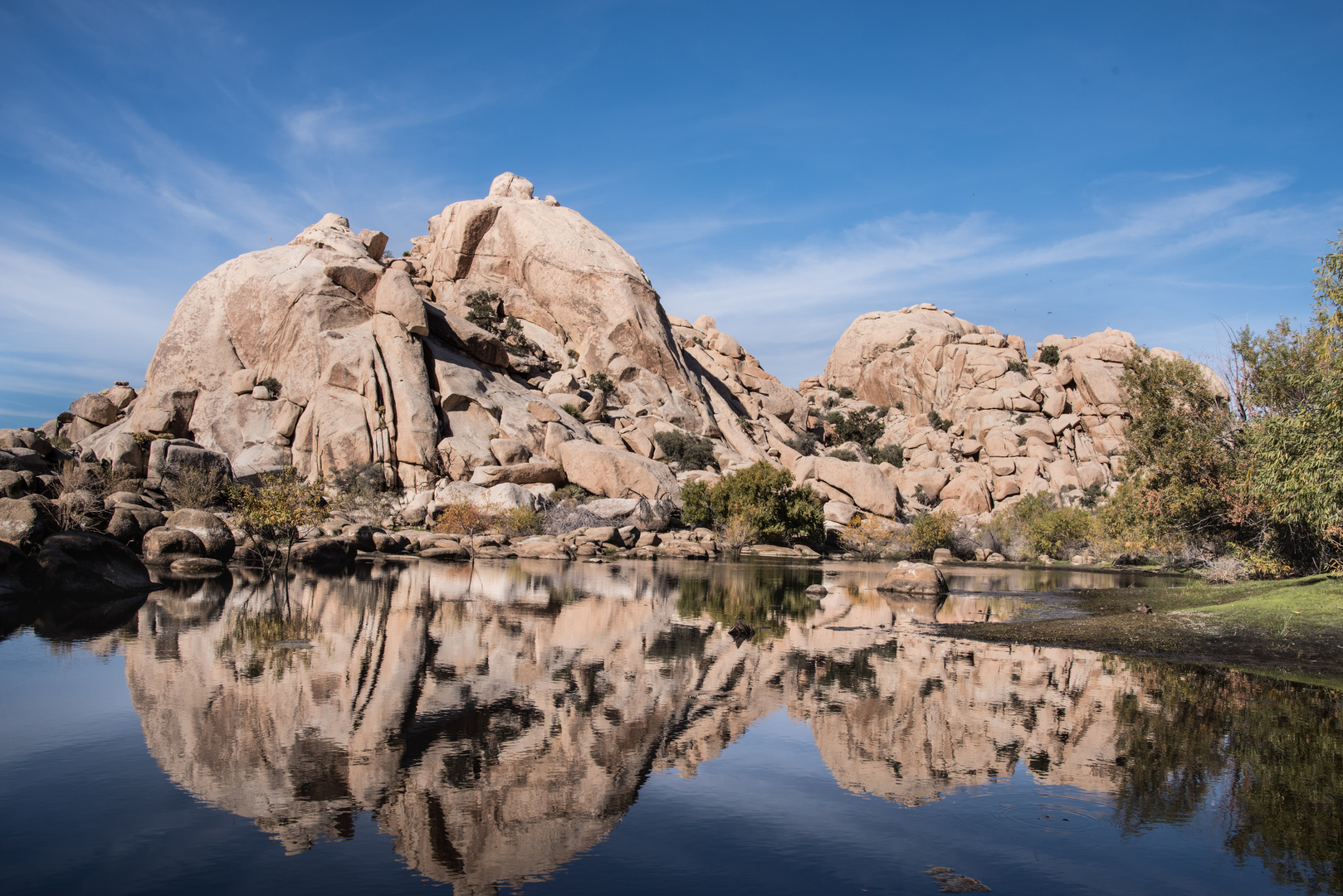 Winter in Joshua Tree