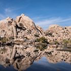 Winter in Joshua Tree