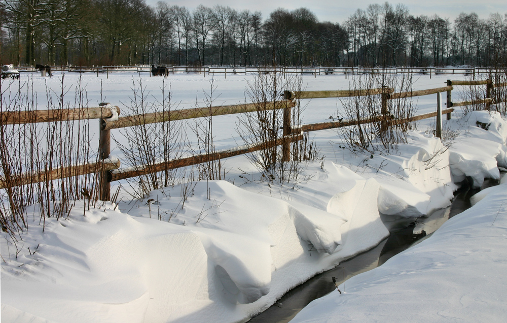 Winter in Kattenvenne