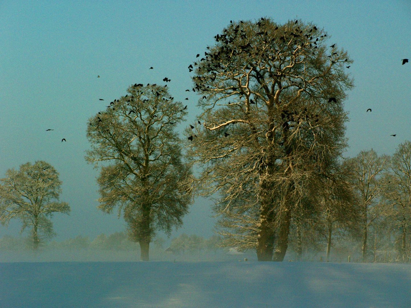 Winter in Kedingen