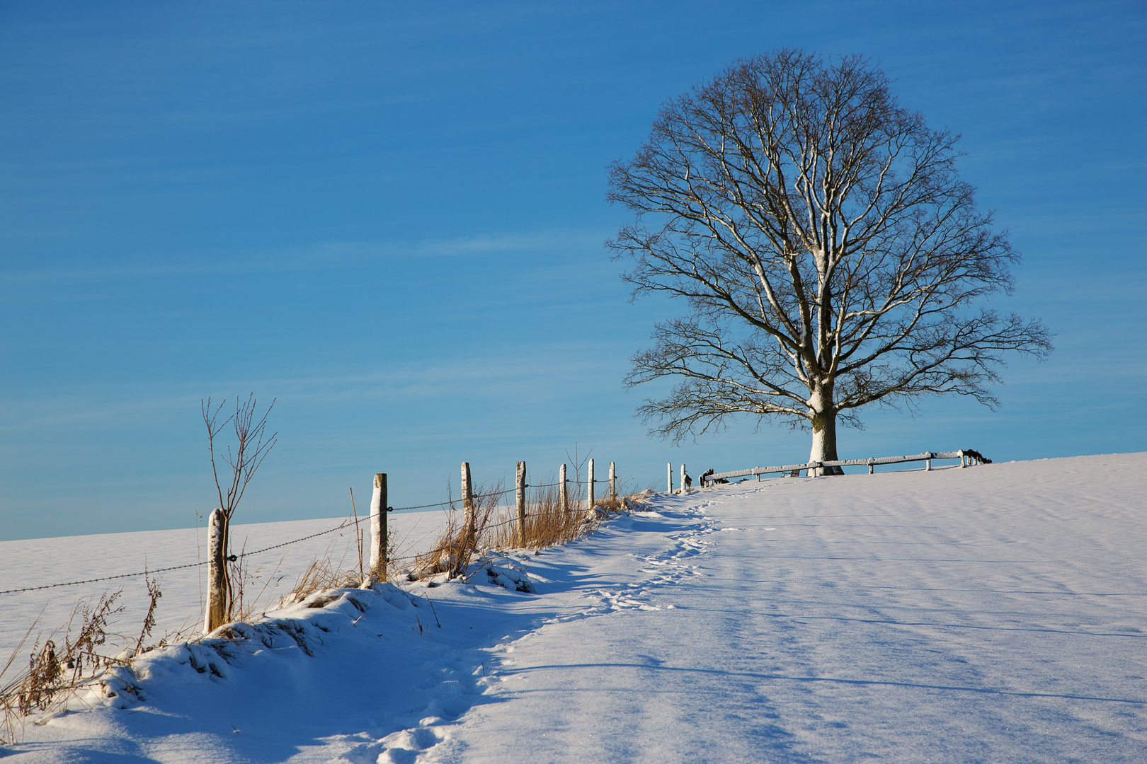 Winter in Kierspe, Sauerland, NRW