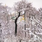 Winter in Kiev